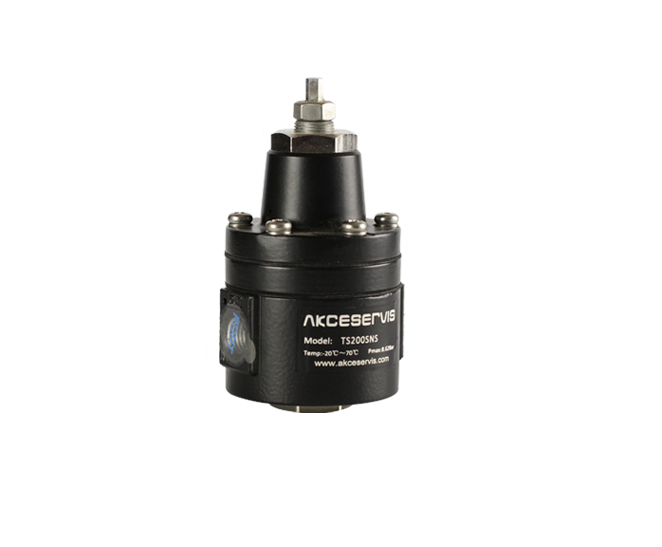AKCESERVIS拨叉执行器,AKCESERVIS限位开关,埃克塞斯限位开关